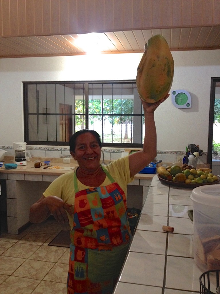 Giant Costa Rican Papaya