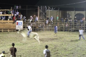 Costa Rican Rodeo Luxury Costa Rica Vacations with Pura Vida House