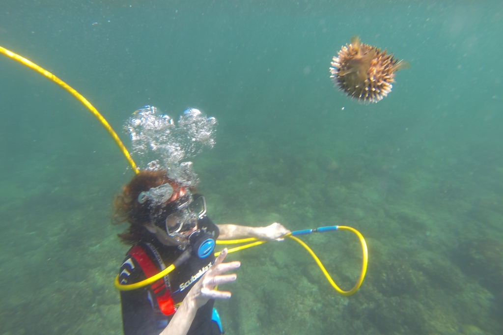 Snuba Scuba Diving Costa Rica