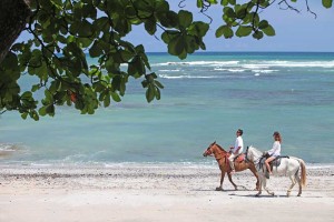 Horses at Hacienda Pinilla