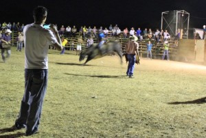 Toros a la Tica