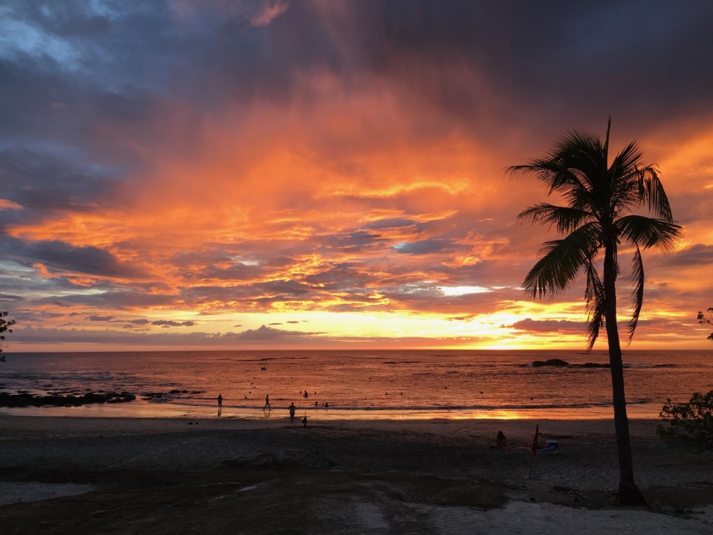 beach sunset with palm tree i the distance