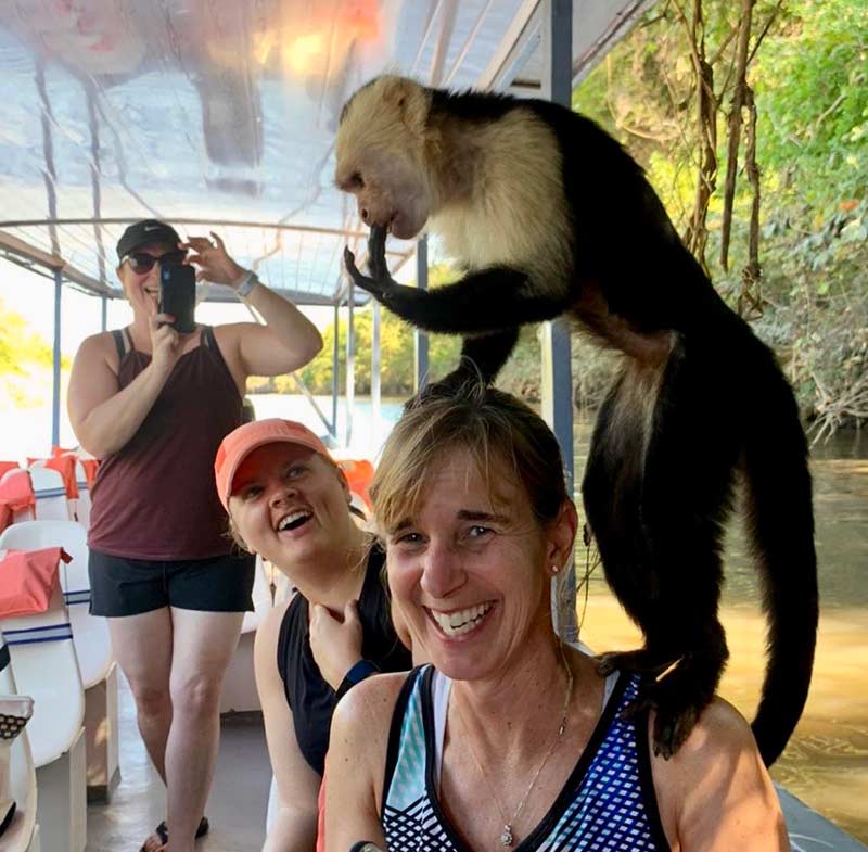 monkey on a woman's head