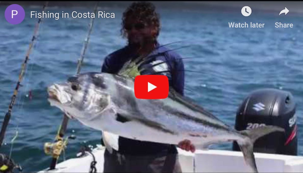 Fishing in costa rica for sport and food vacations at pura vida house