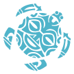 Pura-Vida-House sea turtle logo of pura vida house