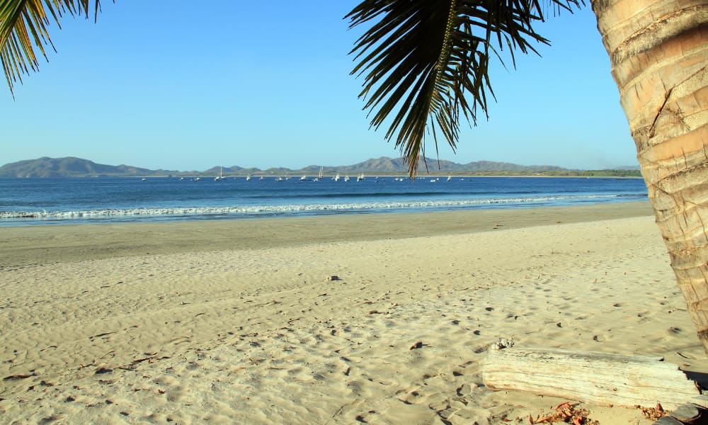 group vacation packages in tamarindo