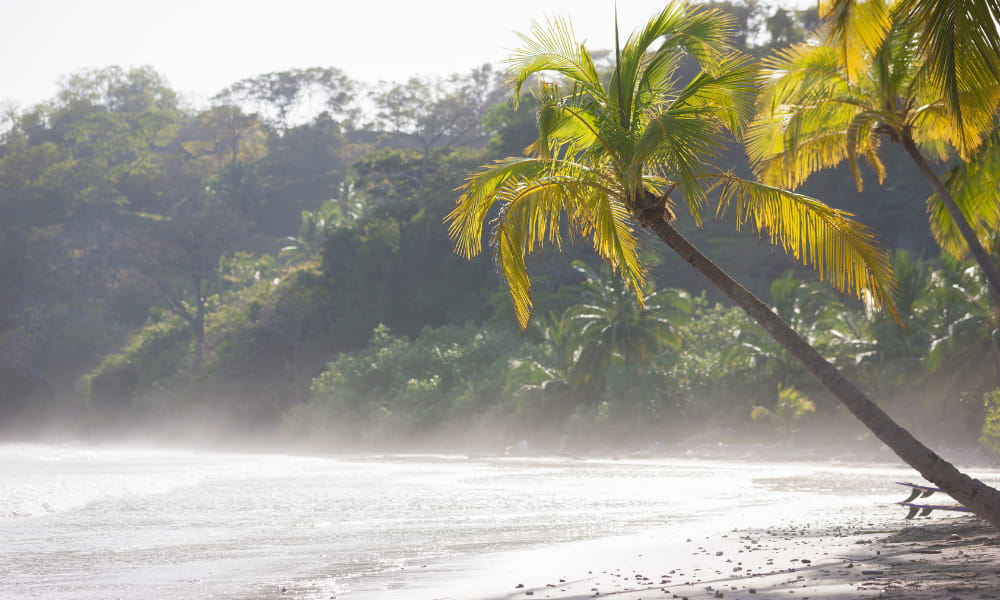 beach excursions in guanacaste