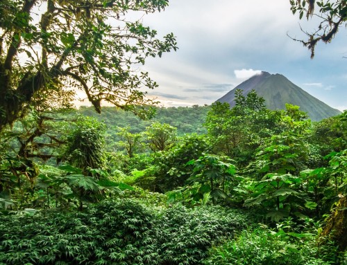 Costa Rica Provinces: Which One is Right for You?