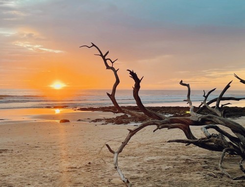 Enjoy 3 Incredible Beaches at our Luxury Villas in Costa Rica