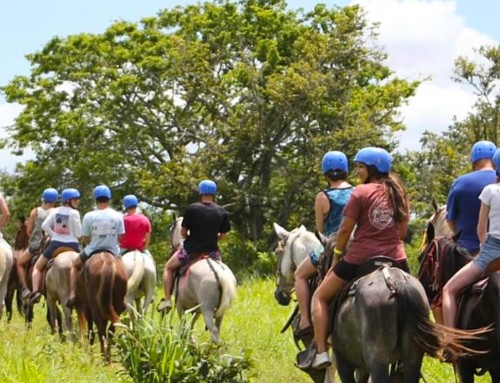 Pack Your Family and Friends for an Unforgettable Family Vacation in Costa Rica