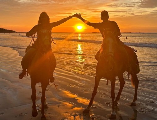 The Ultimate Guide to the Best Things to Do in and Around Tamarindo Beach Costa Rica