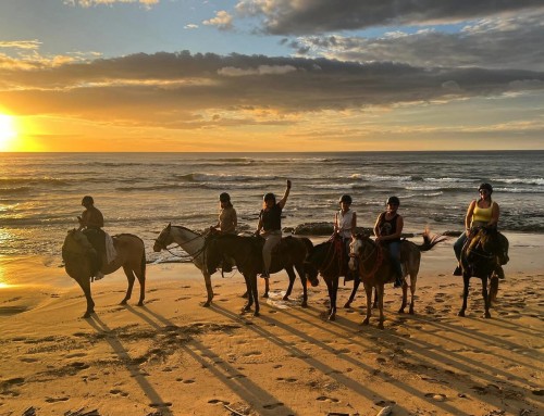 Why the Green Season is the Best Time to Visit Costa Rica’s Pacific North