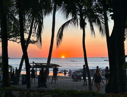 Why Pura Vida House is the Perfect Place for your Pickleball Getaway in Costa Rica