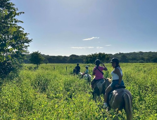 The Ultimate Family Costa Rica Trip Begins at Pura Vida House